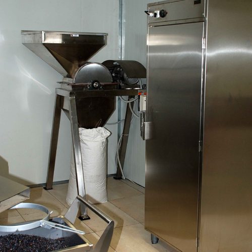 DSC 0138 OK OLD LOW 1