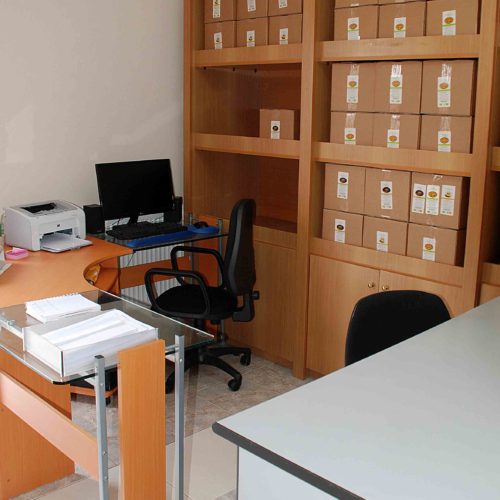 DSC 0155 OK OLD LOW 1