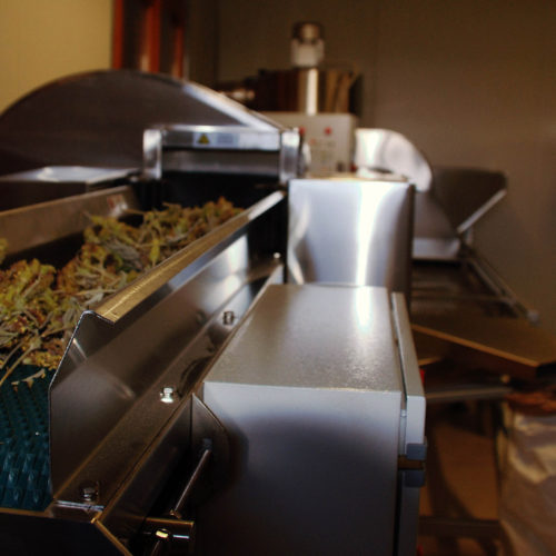 DSC 0826 EFFE LOW crop 1